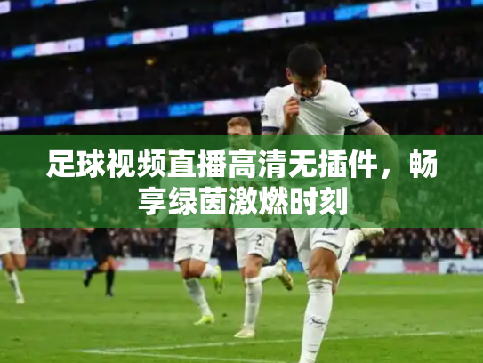 足球视频直播高清无插件，畅享绿茵激燃时刻