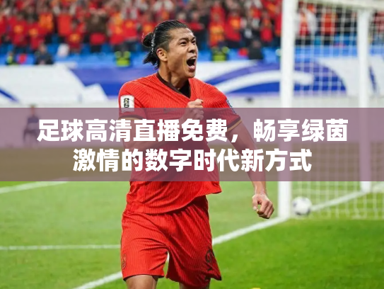 足球高清直播免费，畅享绿茵激情的数字时代新方式