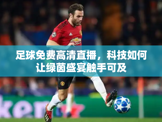 足球免费高清直播，科技如何让绿茵盛宴触手可及