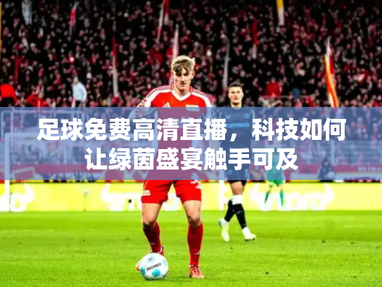 足球免费高清直播，科技如何让绿茵盛宴触手可及