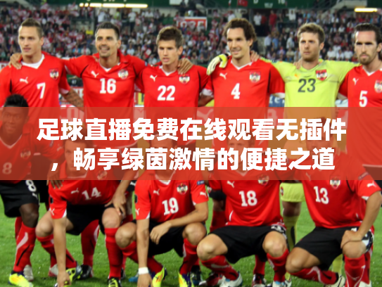 足球直播免费在线观看无插件，畅享绿茵激情的便捷之道