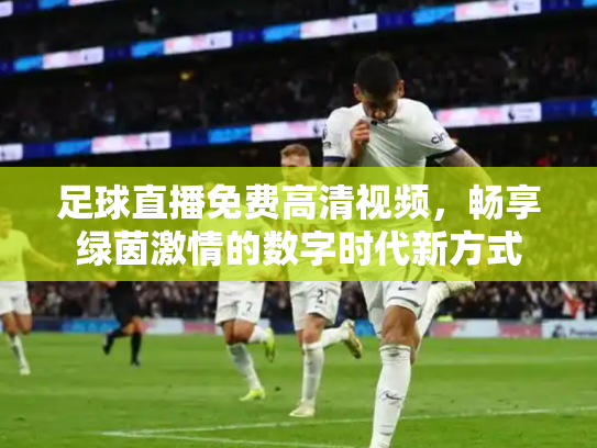 足球直播免费高清视频，畅享绿茵激情的数字时代新方式