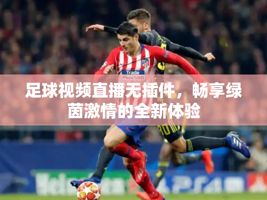 足球视频直播无插件，畅享绿茵激情的全新体验