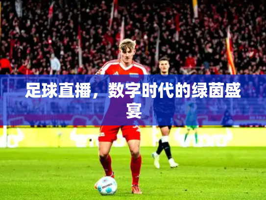 足球直播，数字时代的绿茵盛宴