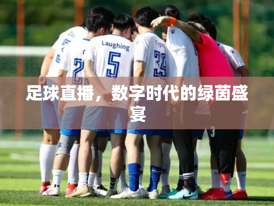 足球直播，数字时代的绿茵盛宴
