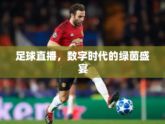 足球直播，数字时代的绿茵盛宴