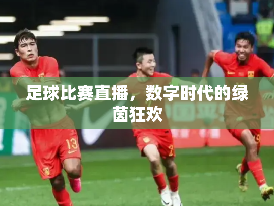 足球比赛直播，数字时代的绿茵狂欢