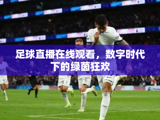 足球直播在线观看，数字时代下的绿茵狂欢