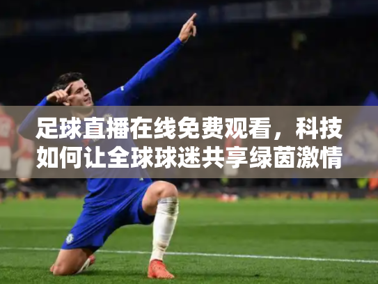 足球直播在线免费观看，科技如何让全球球迷共享绿茵激情