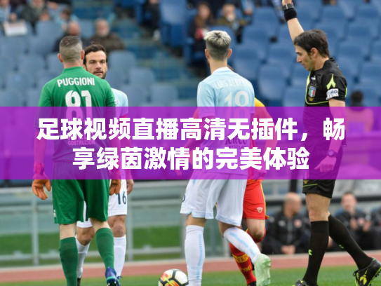 足球视频直播高清无插件，畅享绿茵激情的完美体验