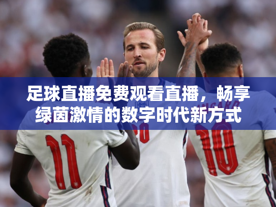 足球直播免费观看直播，畅享绿茵激情的数字时代新方式