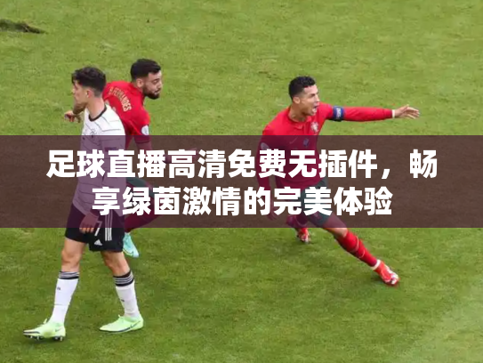 足球直播高清免费无插件，畅享绿茵激情的完美体验