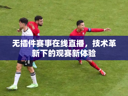 无插件赛事在线直播，技术革新下的观赛新体验