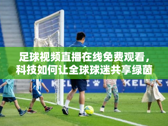 足球视频直播在线免费观看，科技如何让全球球迷共享绿茵激情