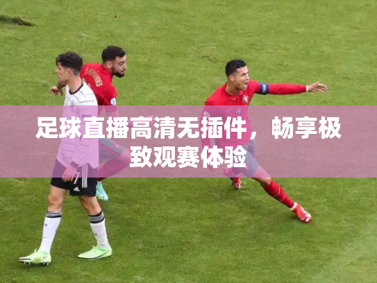 足球直播高清无插件，畅享极致观赛体验