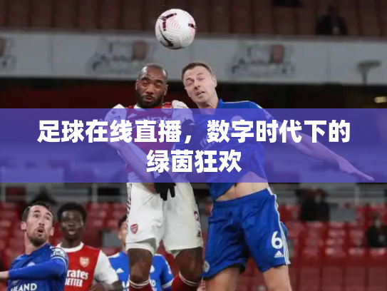 足球在线直播，数字时代下的绿茵狂欢