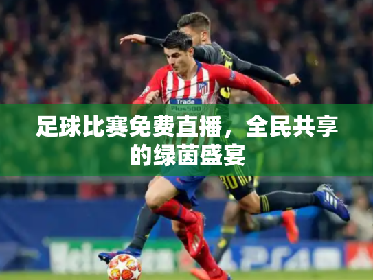 足球比赛免费直播，全民共享的绿茵盛宴