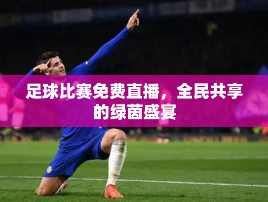足球比赛免费直播，全民共享的绿茵盛宴