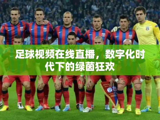 足球视频在线直播，数字化时代下的绿茵狂欢