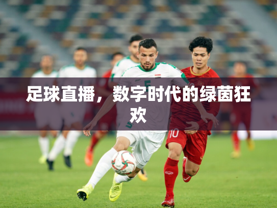 足球直播，数字时代的绿茵狂欢