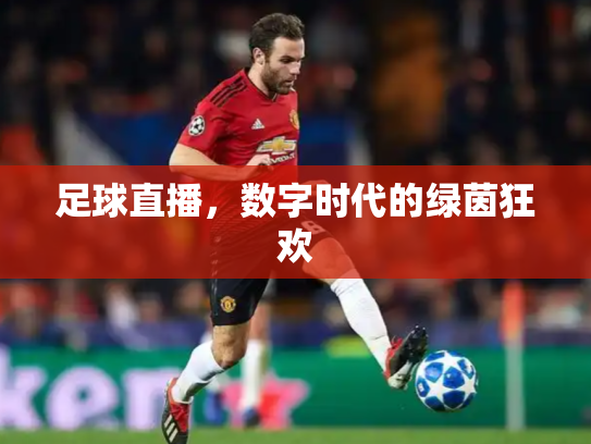 足球直播，数字时代的绿茵狂欢