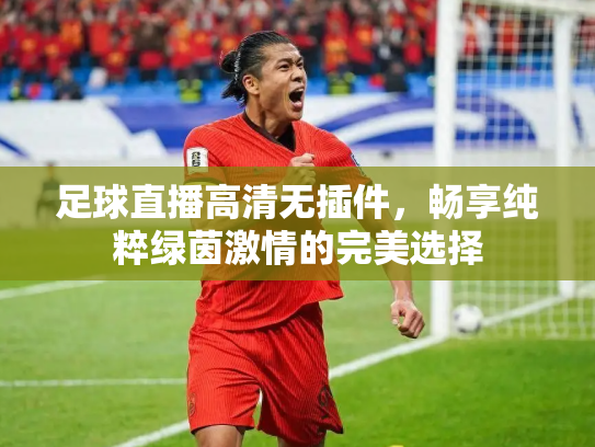足球直播高清无插件，畅享纯粹绿茵激情的完美选择