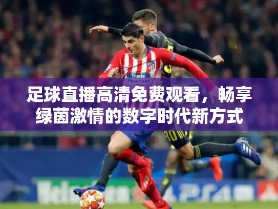 足球直播高清免费观看，畅享绿茵激情的数字时代新方式