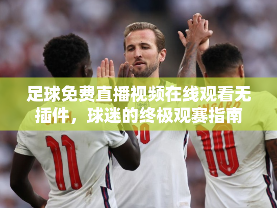 足球免费直播视频在线观看无插件，球迷的终极观赛指南