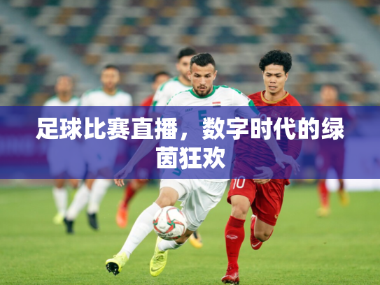 足球比赛直播，数字时代的绿茵狂欢