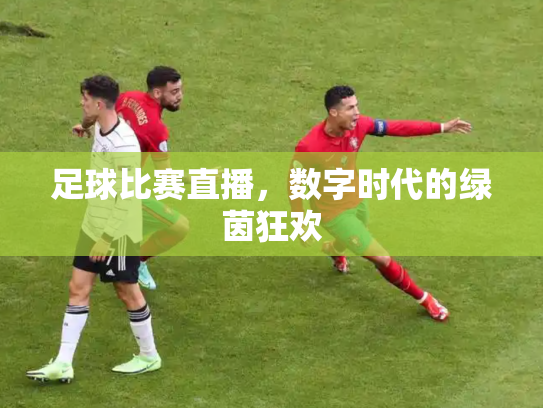 足球比赛直播，数字时代的绿茵狂欢