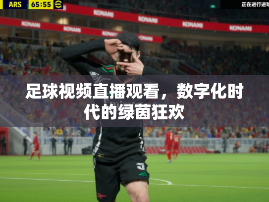 足球视频直播观看，数字化时代的绿茵狂欢
