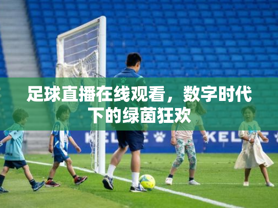 足球直播在线观看，数字时代下的绿茵狂欢