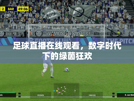 足球直播在线观看，数字时代下的绿茵狂欢