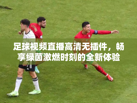 足球视频直播高清无插件，畅享绿茵激燃时刻的全新体验