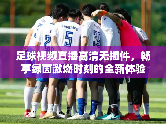 足球视频直播高清无插件，畅享绿茵激燃时刻的全新体验