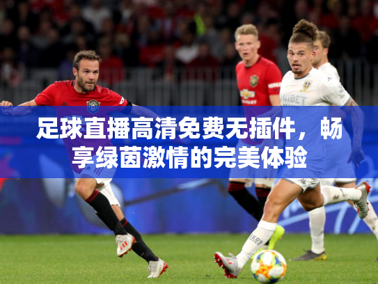 足球直播高清免费无插件，畅享绿茵激情的完美体验