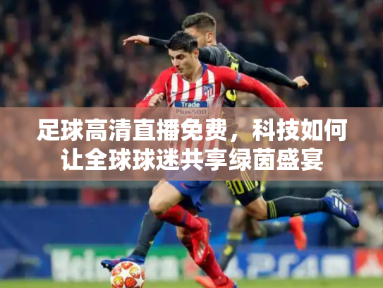 足球高清直播免费，科技如何让全球球迷共享绿茵盛宴