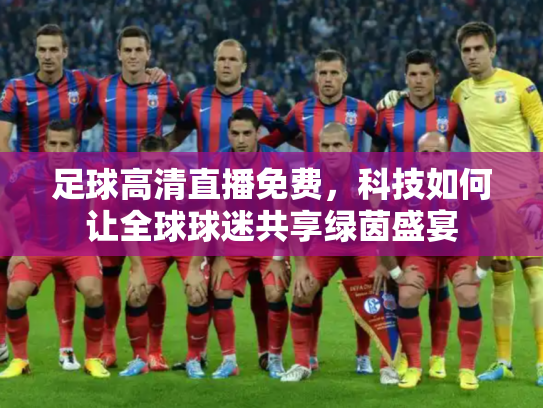 足球高清直播免费，科技如何让全球球迷共享绿茵盛宴