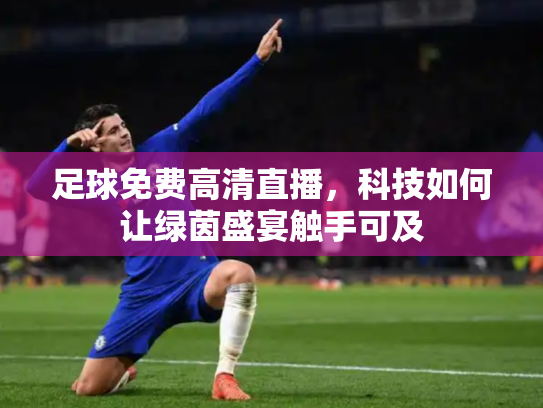 足球免费高清直播，科技如何让绿茵盛宴触手可及