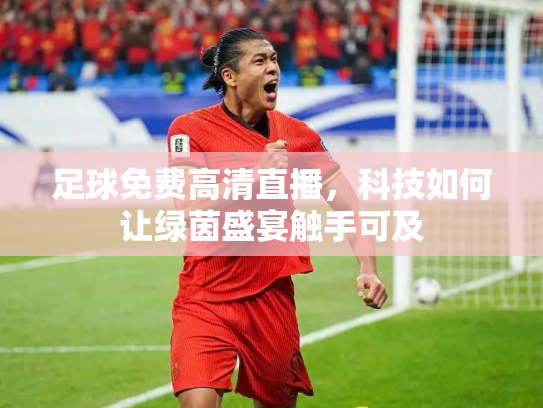 足球免费高清直播，科技如何让绿茵盛宴触手可及