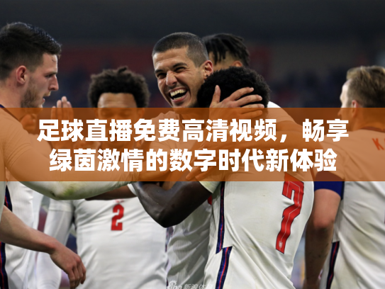 足球直播免费高清视频，畅享绿茵激情的数字时代新体验