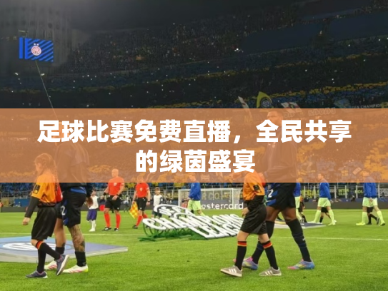 足球比赛免费直播，全民共享的绿茵盛宴