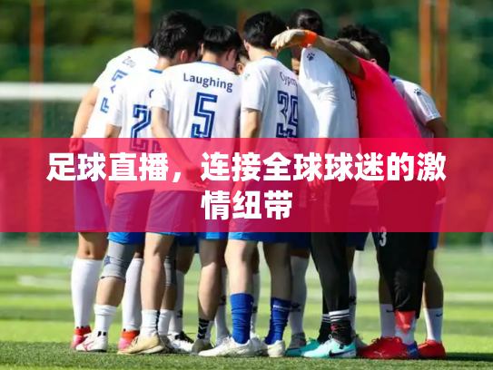 足球直播，连接全球球迷的激情纽带