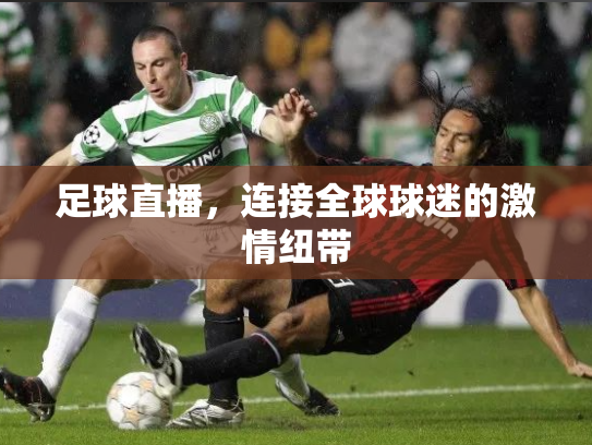 足球直播，连接全球球迷的激情纽带