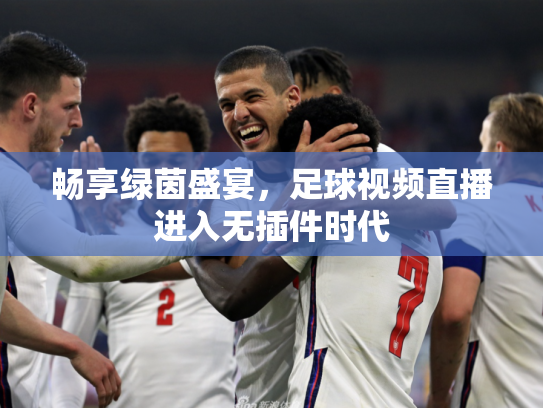 畅享绿茵盛宴，足球视频直播进入无插件时代