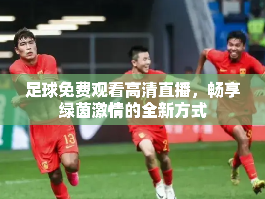 足球免费观看高清直播，畅享绿茵激情的全新方式