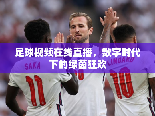 足球视频在线直播，数字时代下的绿茵狂欢