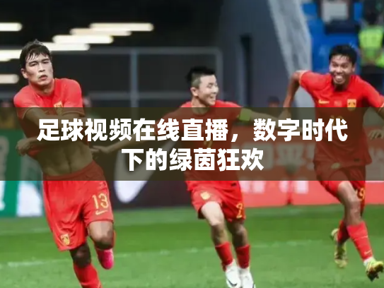 足球视频在线直播，数字时代下的绿茵狂欢