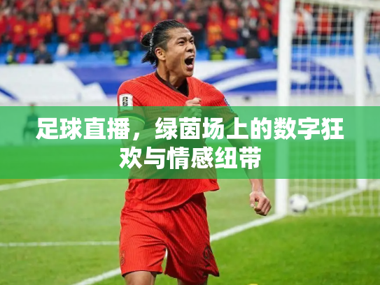 足球直播，绿茵场上的数字狂欢与情感纽带