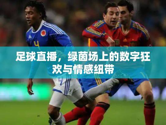 足球直播，绿茵场上的数字狂欢与情感纽带